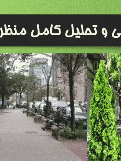 پاورپوینت تحلیل منظر پیاده‌راه شهری و نمونه‌های پیاده‌راه در ایران و جهان