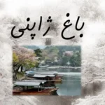 پاورپوینت بررسی باغ ژاپنی - چیدمان عناصر سنگ و آب و گیاه در طراحی سنتی ژاپنی