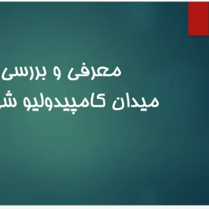 پاورپوینت تحلیل هندسی و کالبدی میدان کامپیدولیو رم اثر میکل‌آنژ، سنگ‌فرش بیضوی و پلکان ورودی